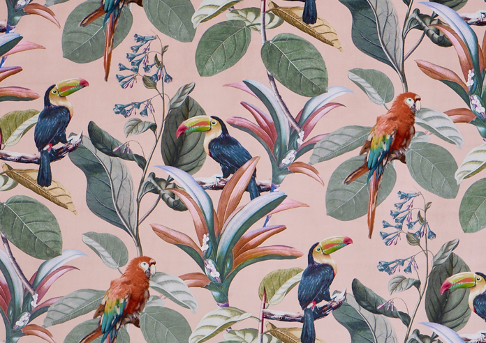 Parrot, Coral - Fabric Only - Image 3